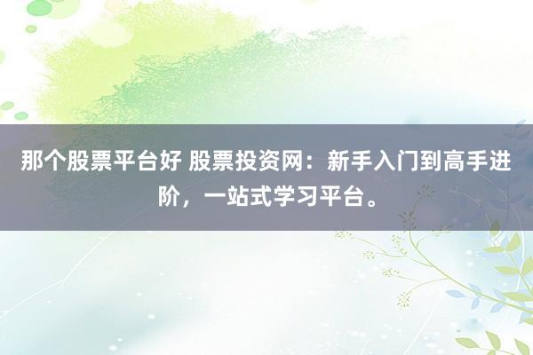 那个股票平台好 股票投资网：新手入门到高手进阶，一站式学习平台。