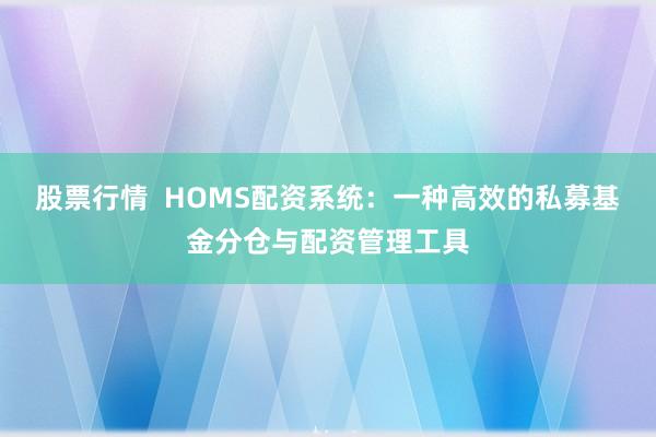 股票行情  HOMS配资系统：一种高效的私募基金分仓与配资管理工具