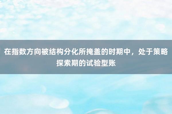 在指数方向被结构分化所掩盖的时期中，处于策略探索期的试验型账