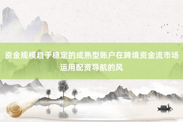 资金规模趋于稳定的成熟型账户在跨境资金流市场运用配资导航的风