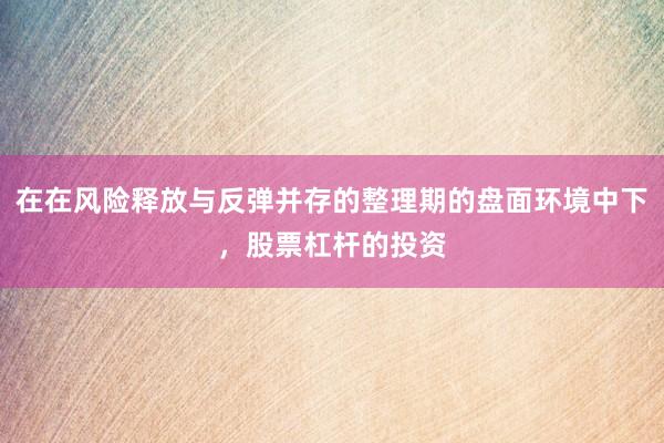 在在风险释放与反弹并存的整理期的盘面环境中下，股票杠杆的投资
