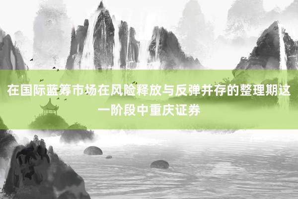 在国际蓝筹市场在风险释放与反弹并存的整理期这一阶段中重庆证券