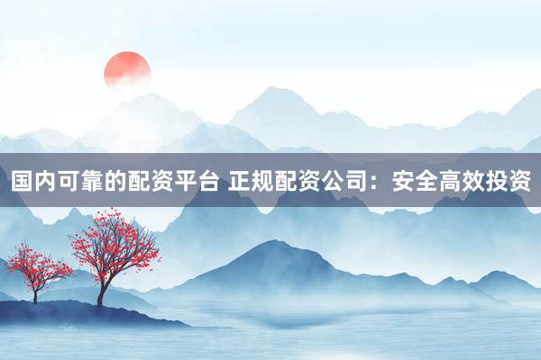 国内可靠的配资平台 正规配资公司：安全高效投资